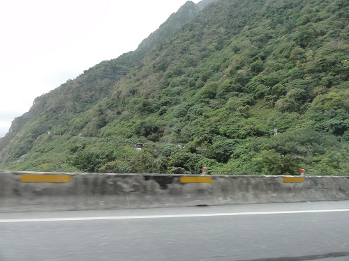 d0029363_1123939.jpg