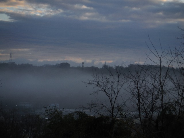d0143678_2338342.jpg