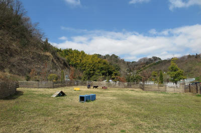 f0037378_19455367.jpg