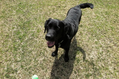 f0037378_2063224.gif