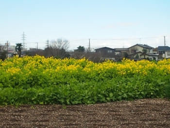 b0344486_15110901.jpg