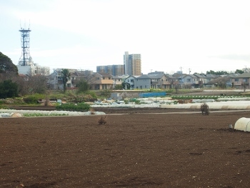 b0344486_15112820.jpg