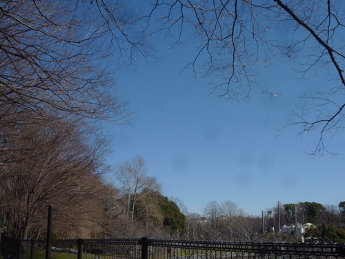 c0123890_2035466.jpg