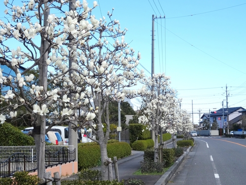d0212491_23315653.jpg