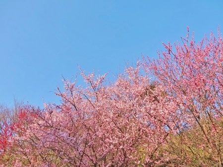 a0125598_21085188.jpg