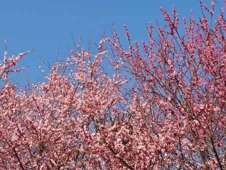 a0125598_21165386.jpg