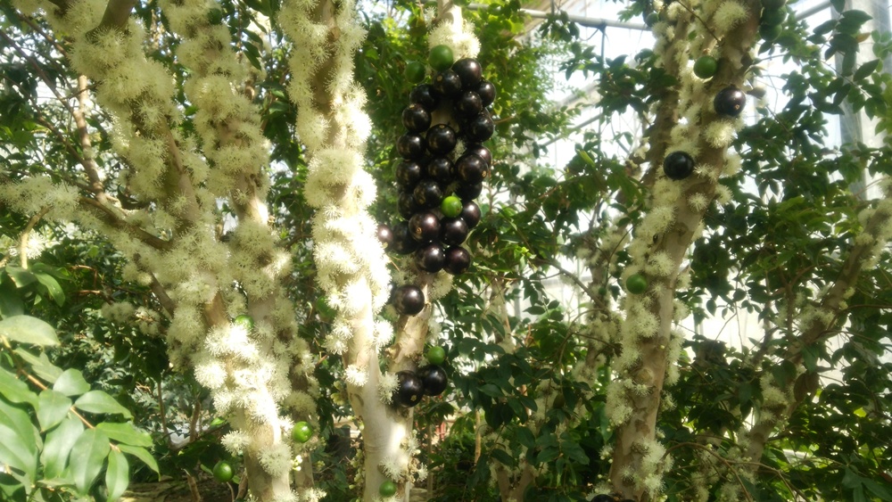 b0028299_20432079.jpg