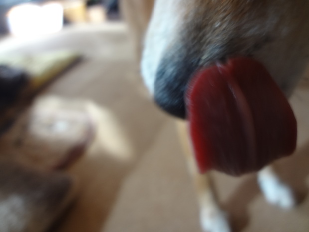 e0292102_1911226.jpg