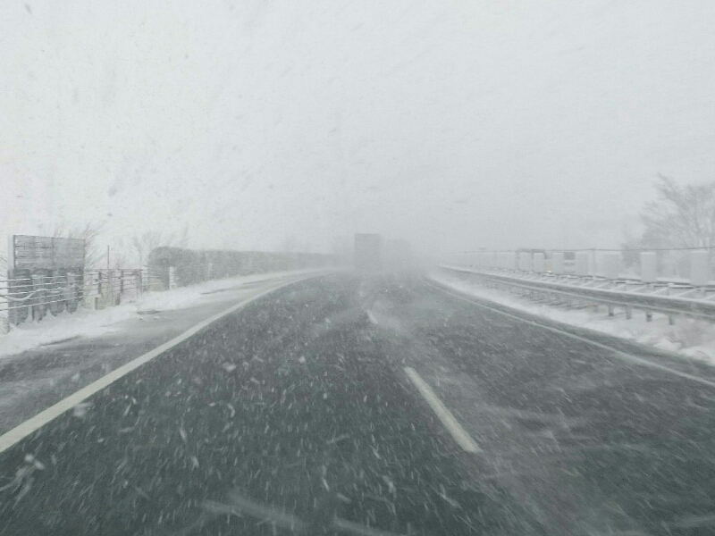 f0266202_18231683.jpg