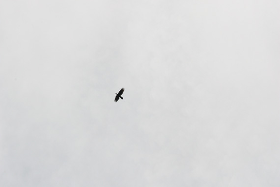 a0249004_1692940.jpg