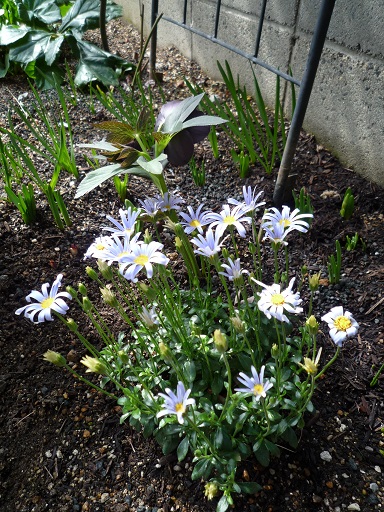 e0234004_1984196.jpg