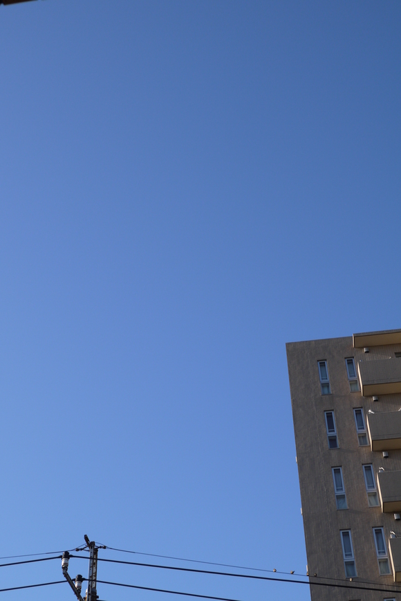 f0185804_1444634.jpg