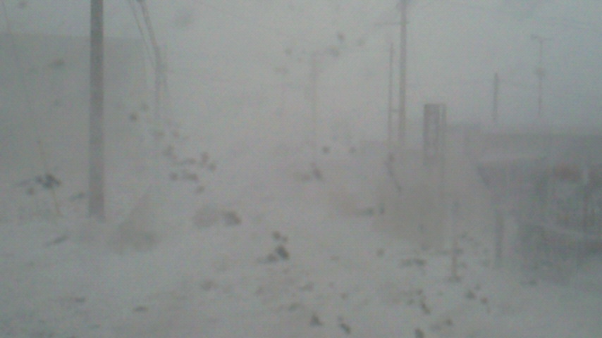 d0149105_17375420.jpg