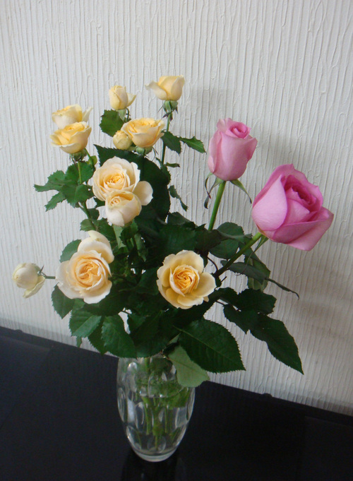 a0019212_10415988.jpg