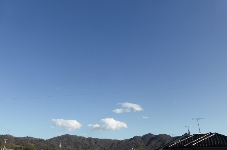 b0057612_2142918.jpg