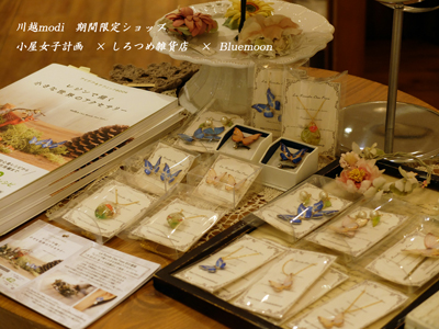 d0194217_16483916.jpg