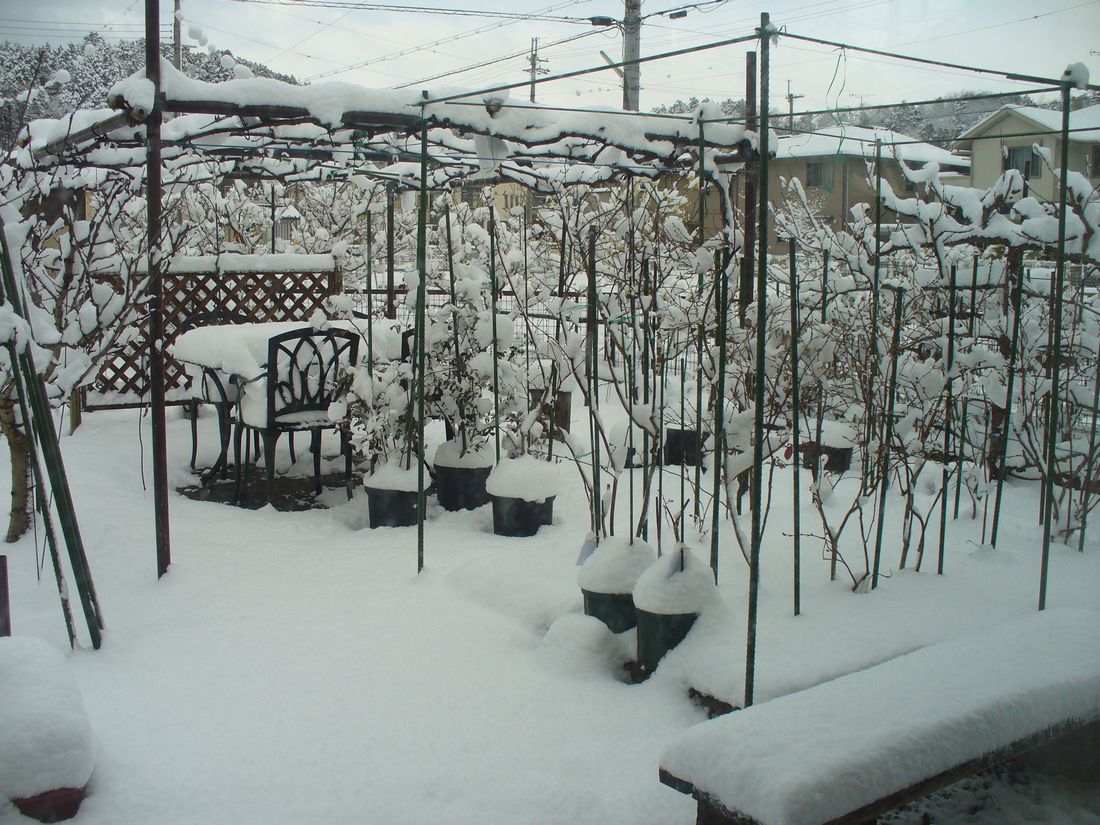 f0346527_21471387.jpg