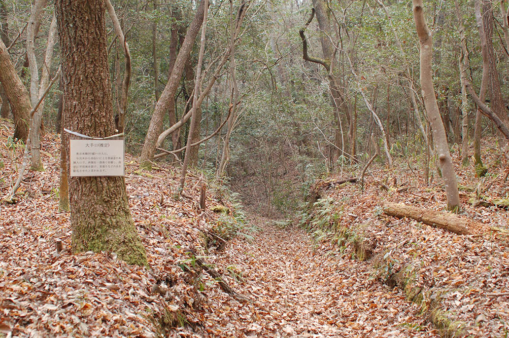 e0158128_2125940.jpg