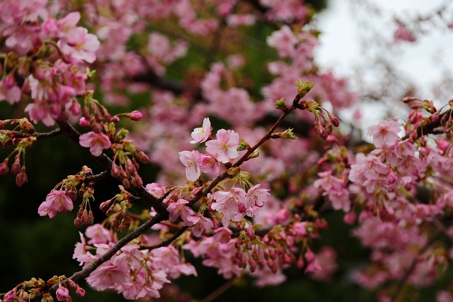 a0242438_18463243.jpg