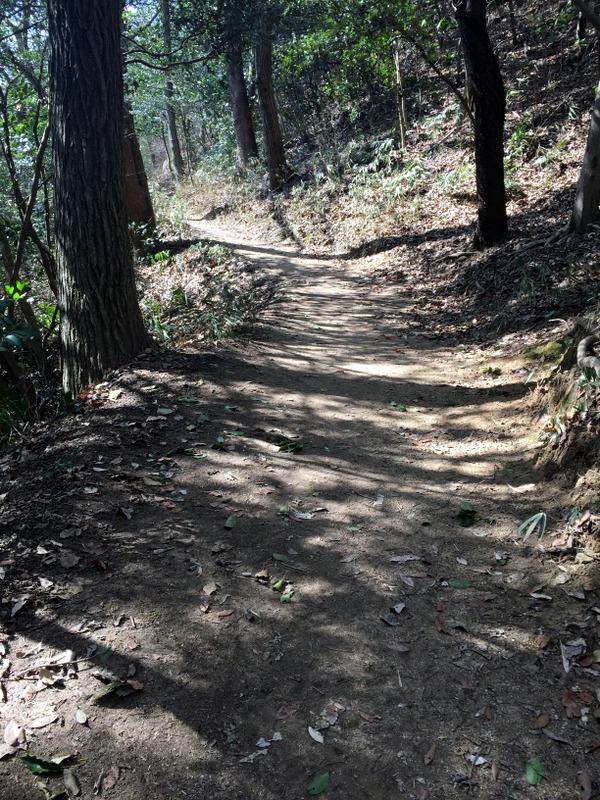b0057140_23502619.jpg
