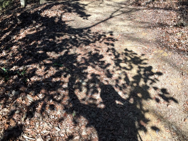 b0057140_23563097.jpg