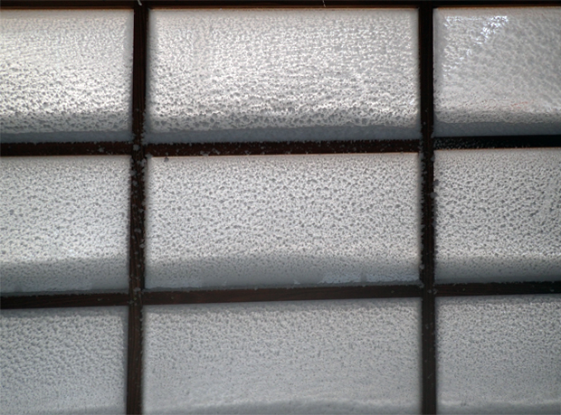 f0214649_421098.jpg