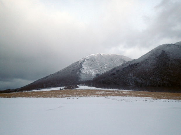 f0214649_52459.jpg