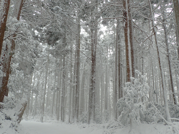 f0214649_584050.jpg