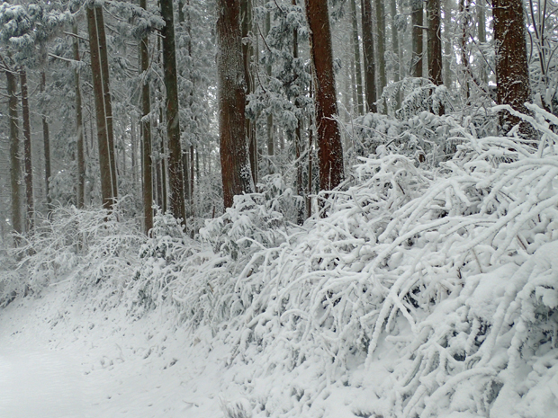f0214649_592991.jpg