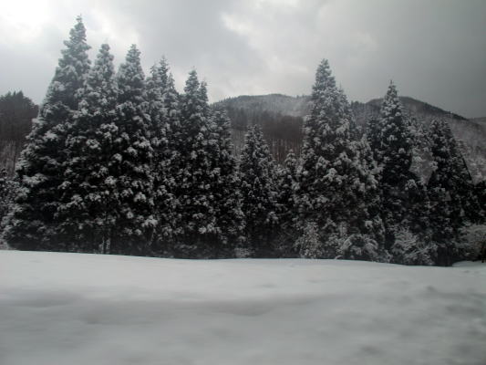 c0147952_22211261.jpg