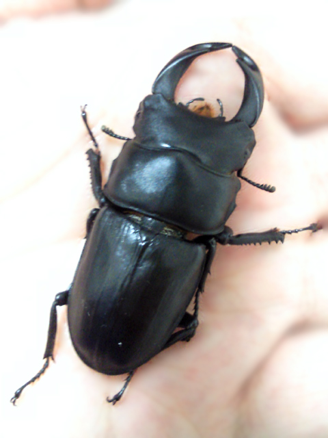 c0039153_049940.jpg