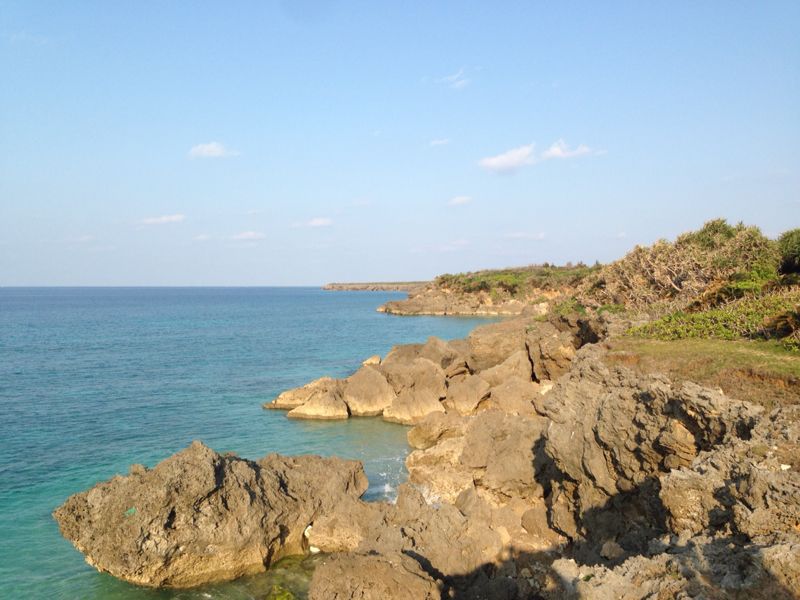 b0002156_12383571.jpg