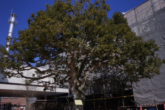 c0129671_1691757.jpg
