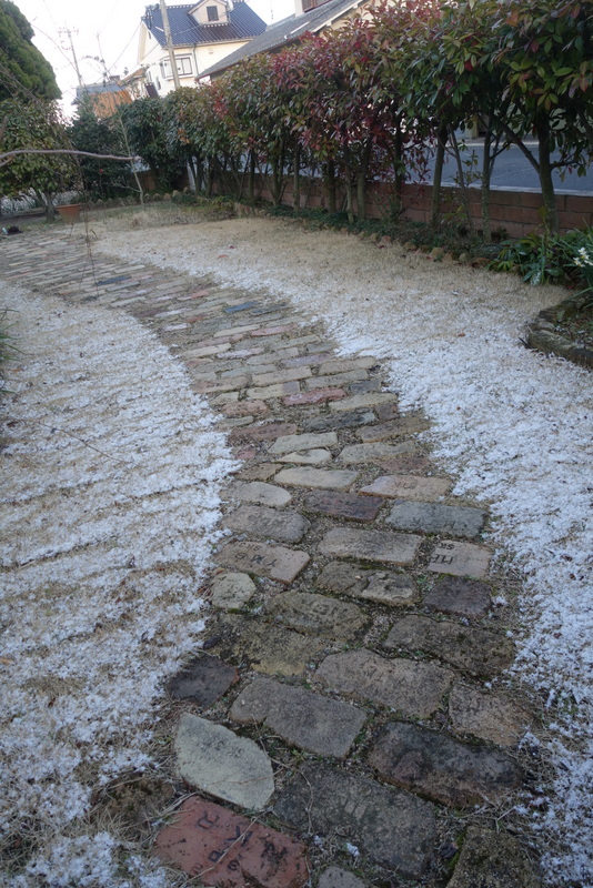 c0216472_1753581.jpg