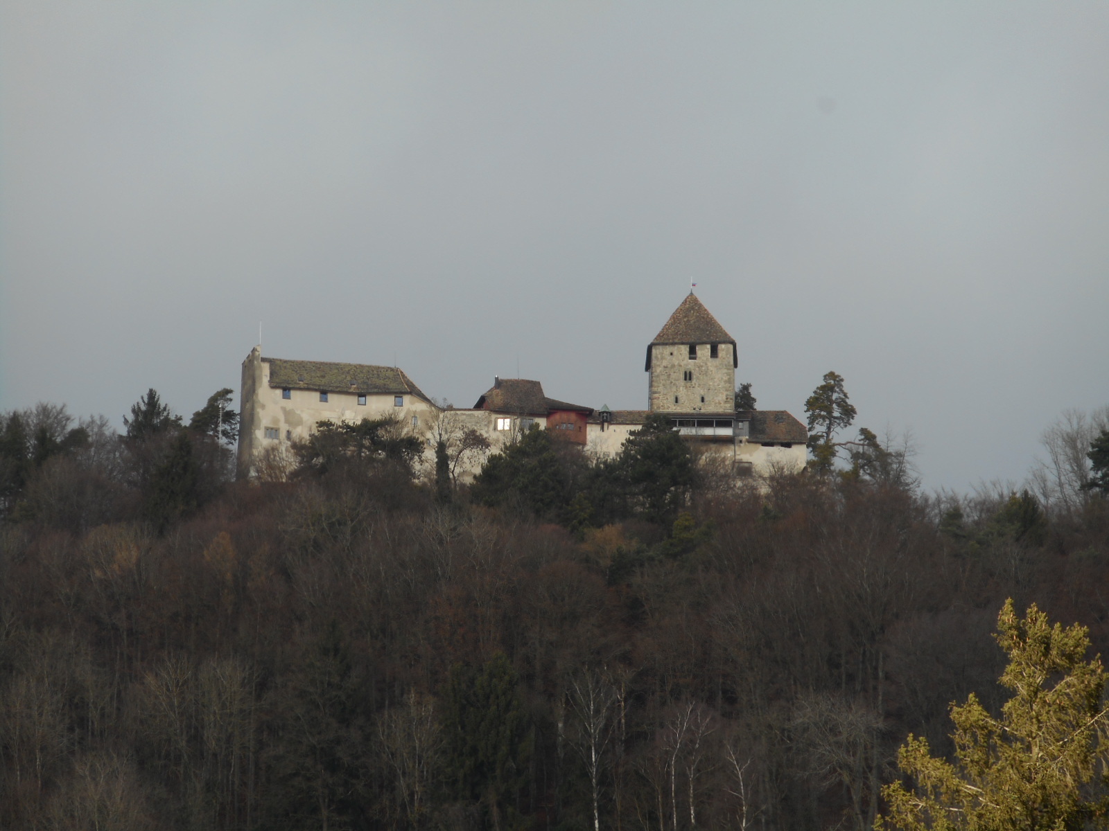 f0163873_21103252.jpg