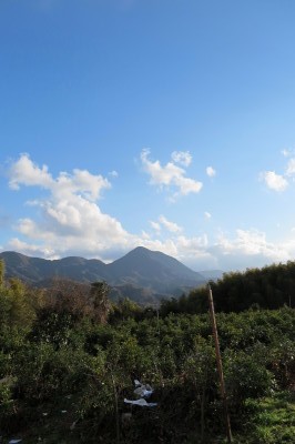 f0037378_19475758.jpg