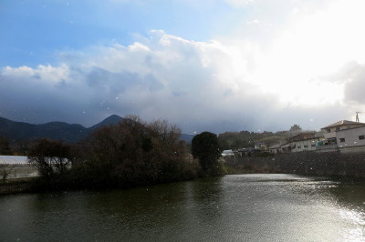 f0037378_1950195.jpg