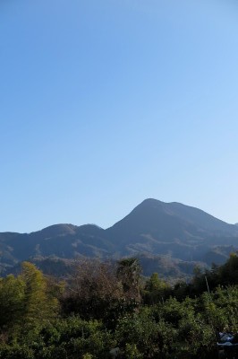 f0037378_2031959.jpg