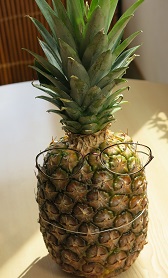 e0130185_20553388.jpg
