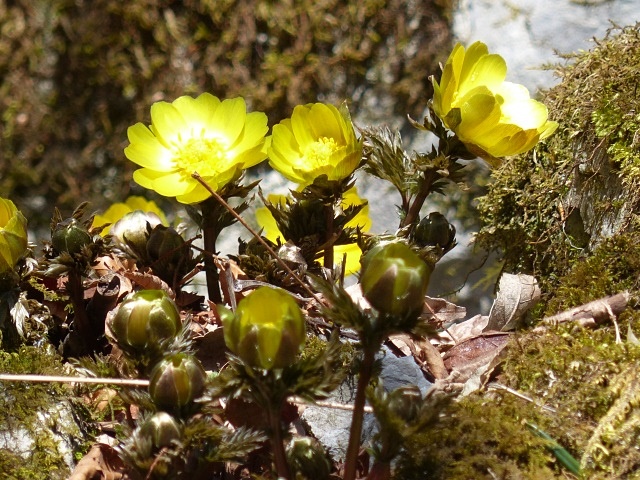 f0357487_23155865.jpg