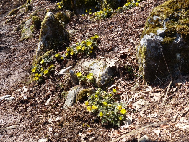 f0357487_23194013.jpg