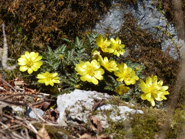 f0357487_2320847.jpg