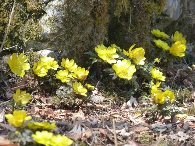 f0357487_23211950.jpg