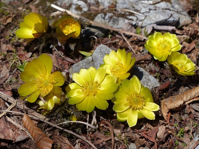 f0357487_23221630.jpg