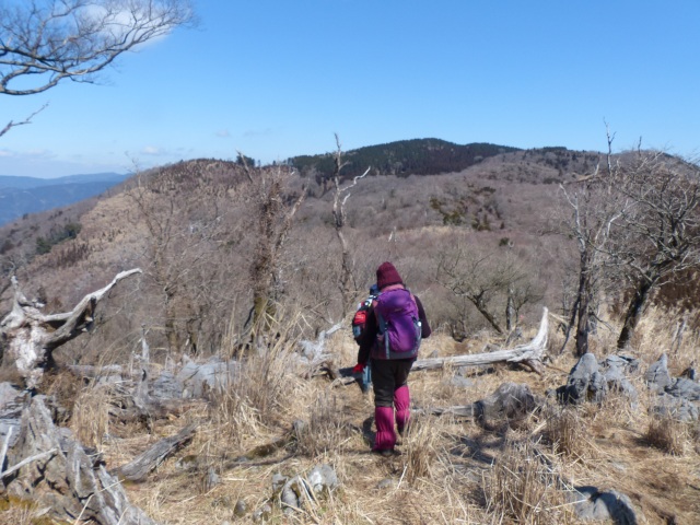 f0357487_23261120.jpg