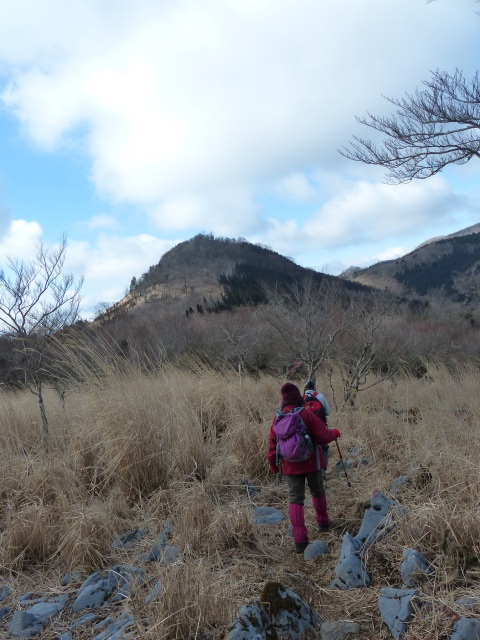 f0357487_23446.jpg