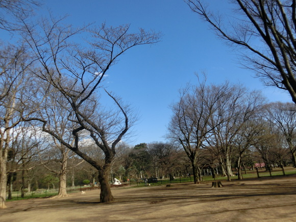 a0319693_1812568.jpg