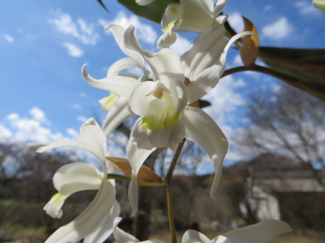 c0323917_00330002.jpg