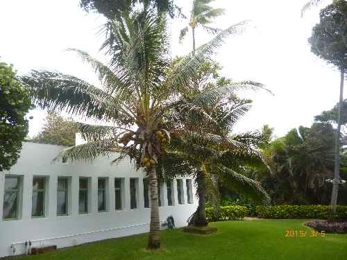 e0047322_11472427.jpg