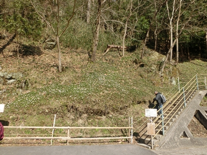 a0105023_2249770.jpg